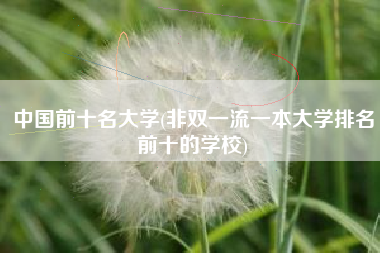 中国前十名大学(非双一流一本大学排名前十的学校)