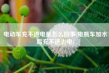 电动车充不进电是怎么回事(电瓶车加水后充不进去电)