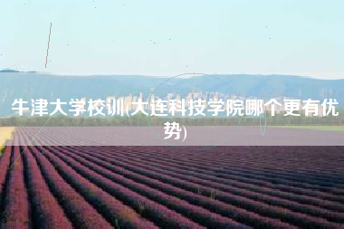 牛津大学校训(大连科技学院哪个更有优势)