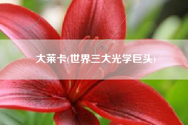 大莱卡(世界三大光学巨头)