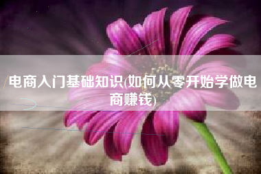 电商入门基础知识(如何从零开始学做电商赚钱)