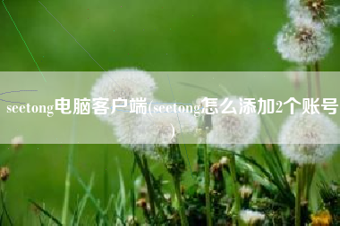 seetong电脑客户端(seetong怎么添加2个账号)