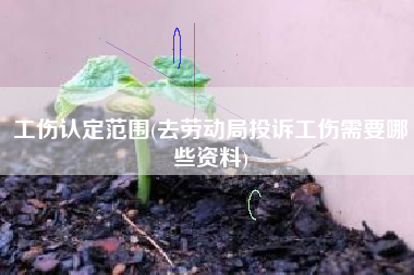 工伤认定范围(去劳动局投诉工伤需要哪些资料)