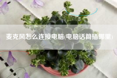 麦克风怎么连接电脑(电脑话筒插哪里)