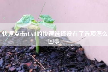 快速点击(CAD的快速选择没有了选项怎么回事)