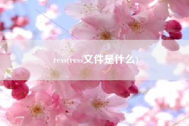 ress(ress文件是什么) - 精英怪