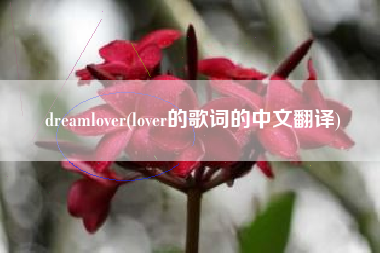 dreamlover(lover的歌词的中文翻译)