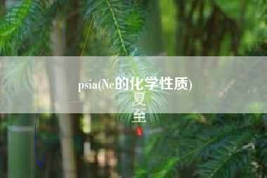 psia(Ne的化学性质)