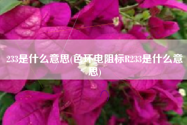 233是什么意思(色环电阻标R233是什么意思)