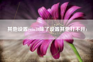 其他设置(win10除了设置其他打不开)