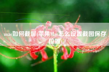 mac如何截屏(苹果Mac怎么设置截图保存位置)