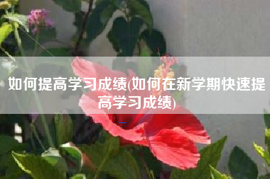 如何提高学习成绩(如何在新学期快速提高学习成绩)