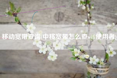 移动宽带查询(中移宽带怎么查wifi使用者)