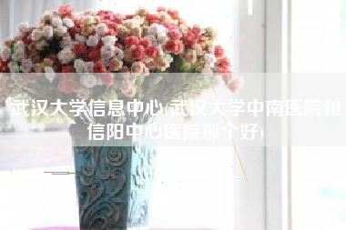 武汉大学信息中心(武汉大学中南医院和信阳中心医院那个好)