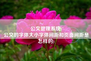 公文管理系统(
公文的字体大小字体间距和页面间距是怎样的) 公文管理系统(
公文的字体大小字体间距和页面间距是怎样的)