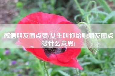 微信朋友圈点赞(女生叫你给她朋友圈点赞什么意思)