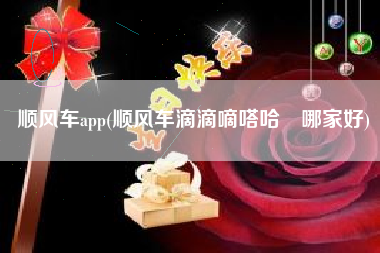 顺风车app(顺风车滴滴嘀嗒哈啰哪家好)