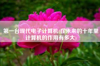 第一台现代电子计算机(在未来的十年里计算机的作用有多大)