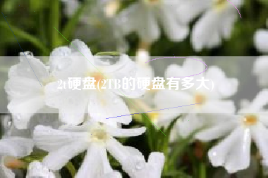 详细阅读:2t硬盘(2TB的硬盘有多大) 2t硬盘(2TB的硬盘有多大)