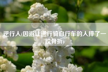逆行人(因避让逆行骑自行车的人摔了一跤骨折)