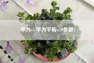 华为c5(华为平板w59参数)