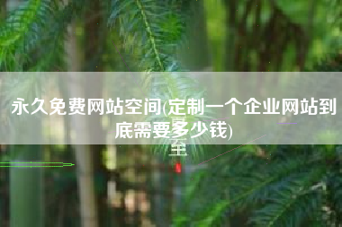 永久免费网站空间(定制一个企业网站到底需要多少钱)