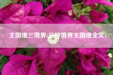 王国维三境界(三种境界王国维全文)
