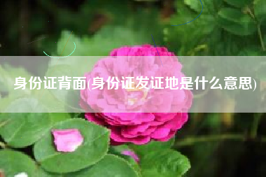 身份证背面(身份证发证地是什么意思)