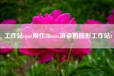 工作站cpu(用作3Dmax渲染的图形工作站)