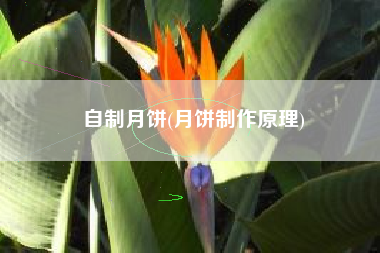 自制月饼(月饼制作原理)