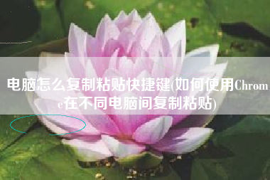 电脑怎么复制粘贴快捷键(如何使用Chrome在不同电脑间复制粘贴)