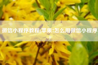 微信小程序教程(苹果7怎么用微信小程序)