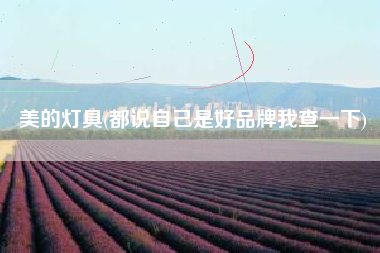 美的灯具(都说自己是好品牌我查一下)