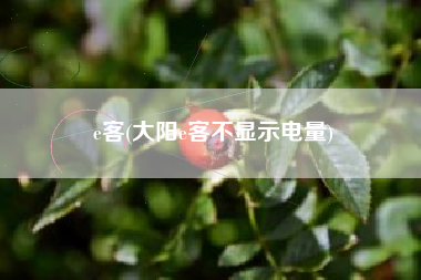 e客(大阳e客不显示电量)