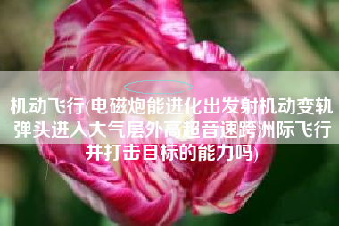 机动飞行(电磁炮能进化出发射机动变轨弹头进入大气层外高超音速跨洲际飞行并打击目标的能力吗)
