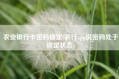 农业银行卡密码锁定(农行app说密码处于锁定状态)
