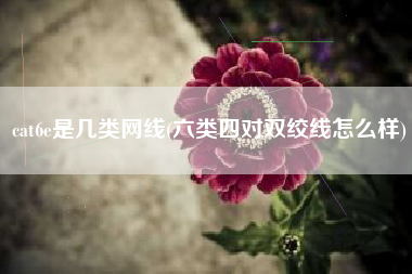 cat6e是几类网线(六类四对双绞线怎么样)