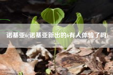 诺基亚6(诺基亚新出的6有人体验了吗)