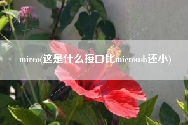mirco(这是什么接口比microusb还小)