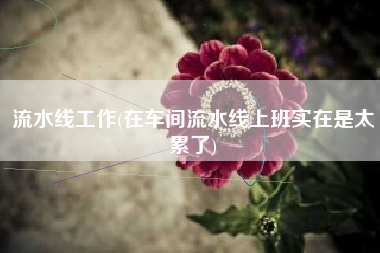 流水线工作(在车间流水线上班实在是太累了)