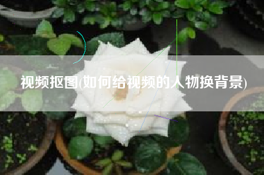 视频抠图(如何给视频的人物换背景)