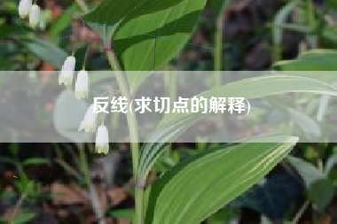 反线(求切点的解释)