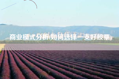 商业模式分析(如何选择一支好股票)