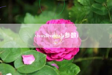 vivox8(vivou3s参数)