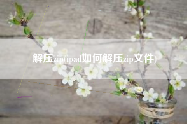 解压zip(ipad如何解压zip文件)