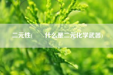 二元性(　　什么是二元化学武器)