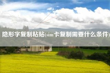 隐形字复制粘贴(sim卡复制需要什么条件)