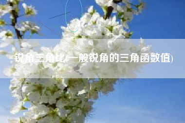 锐角三角比(一般锐角的三角函数值)