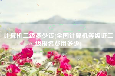 计算机二级多少钱(全国计算机等级证二级报名费用多少)