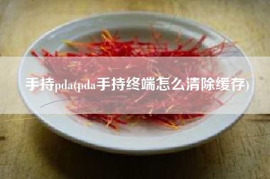 手持pda(pda手持终端怎么清除缓存)